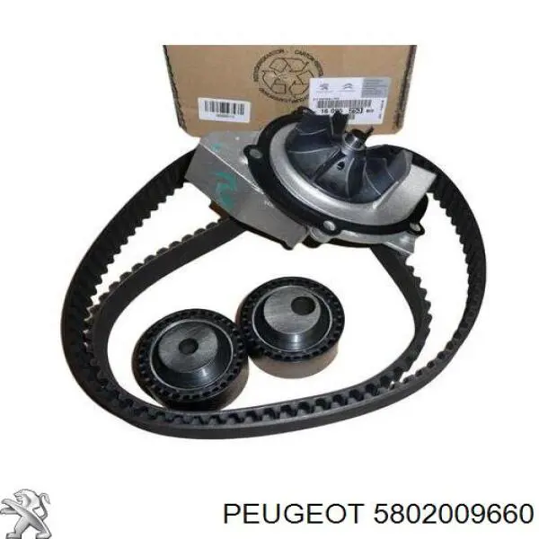 Comprar 5802009660 Peugeot/Citroen Kit de cadena de distribución