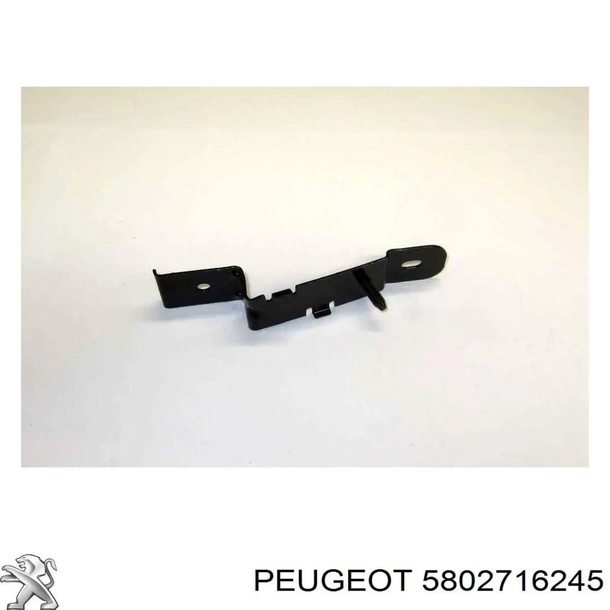 5802716245 Fiat/Alfa/Lancia Polea tensora