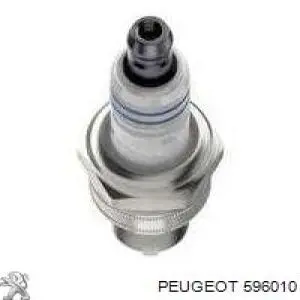 596010 Peugeot/Citroen bujía