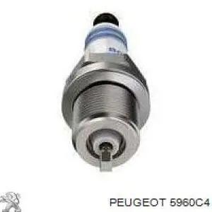 Bujías Peugeot/Citroen 5960C4 precio, desde 12,21 EUR