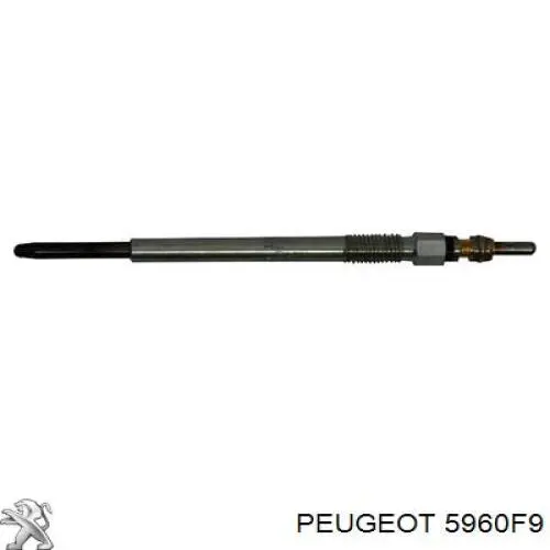 Bujía de incandescencia Peugeot 207 WA, WC