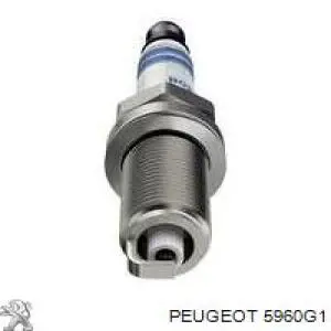 5960G1 Peugeot/Citroen bujía