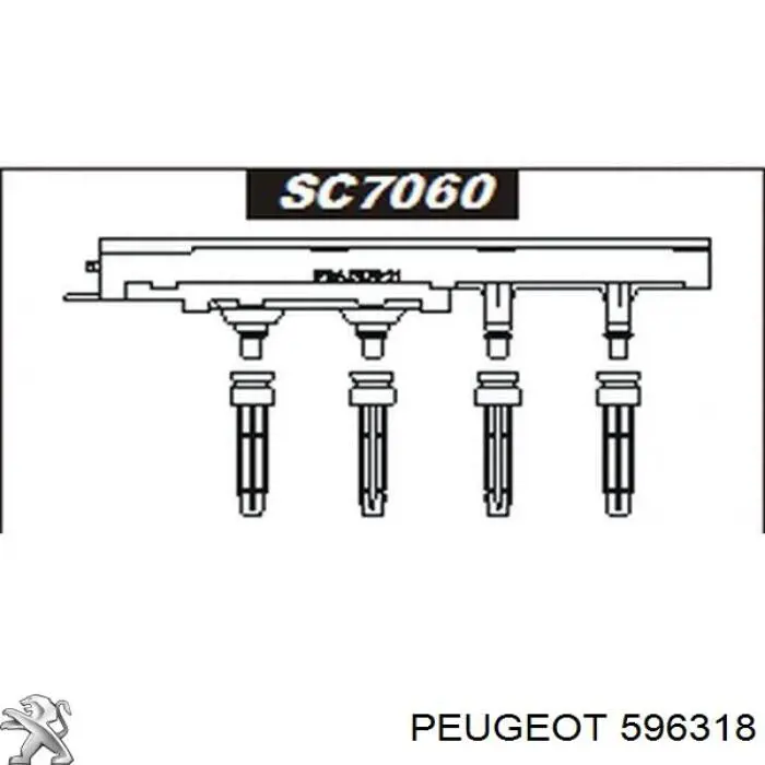 596318 Peugeot/Citroen terminal de la bujía de encendido