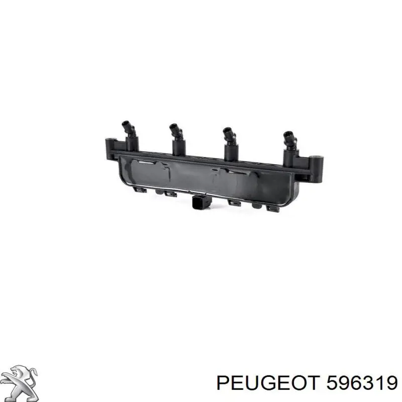 596319 Peugeot/Citroen Terminal de bujía
