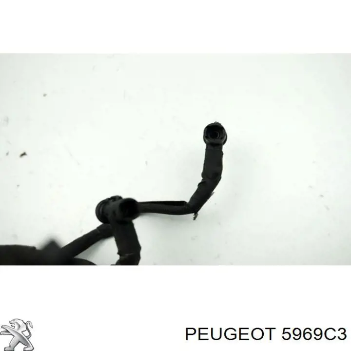 Cable de bujías de precalentamiento Peugeot/Citroen 00005969C3 precio, desde 85,08 EUR