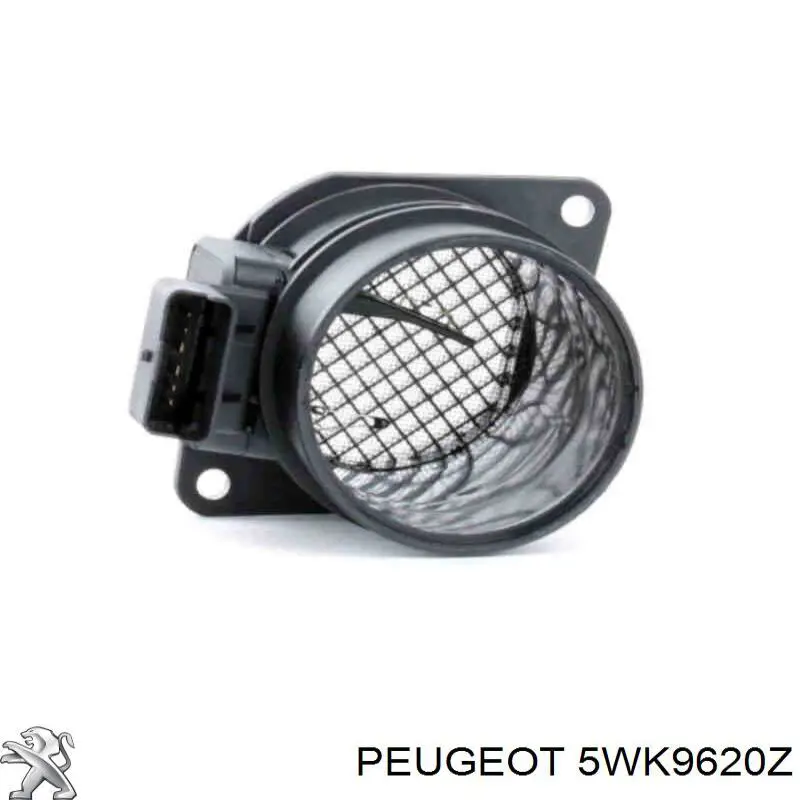 Sensor MAF Peugeot/Citroen 5WK9620Z