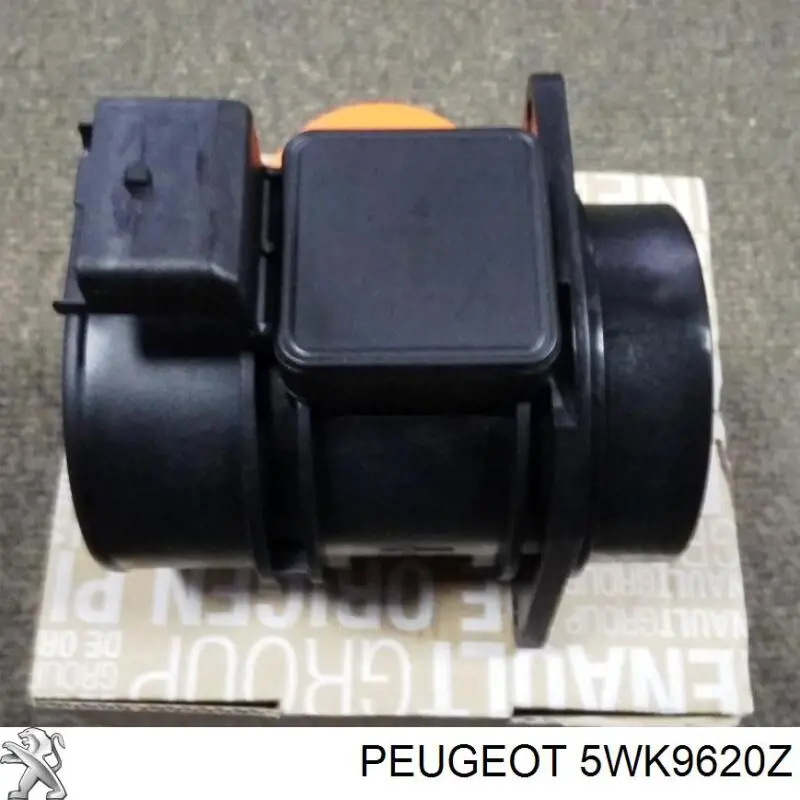 Medidor de flujo de aire Peugeot/Citroen 5WK9620Z precio, desde 39,36 EUR