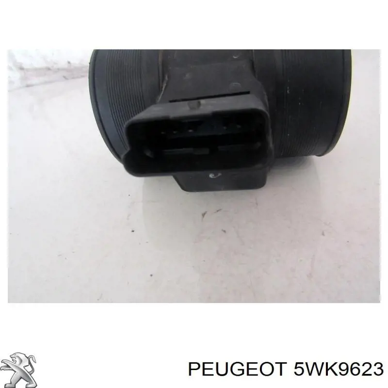 Caudalímetro 5WK9623 Peugeot/Citroen