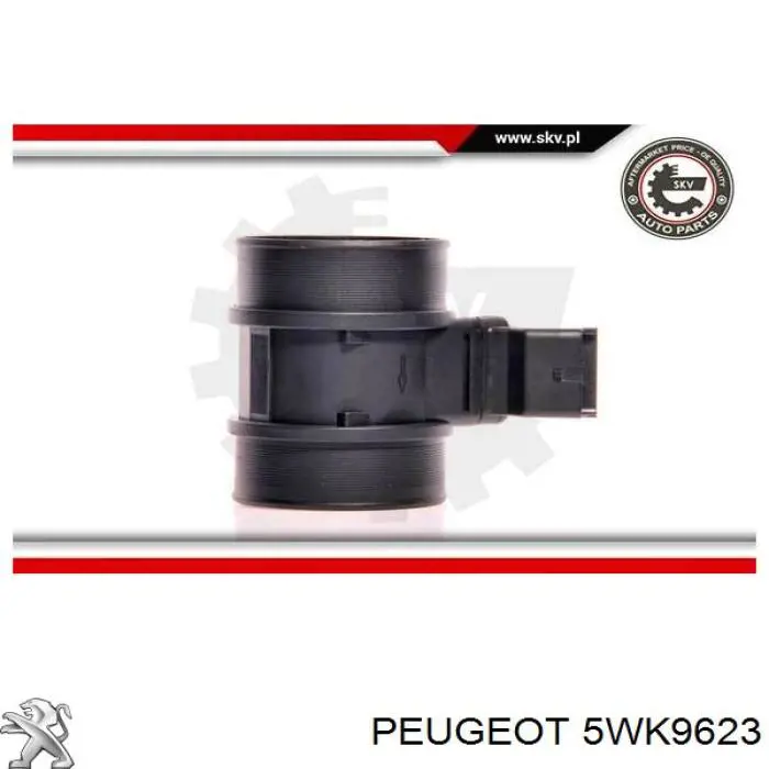 Comprar 5WK9623 Peugeot/Citroen Sensor de masa de aire