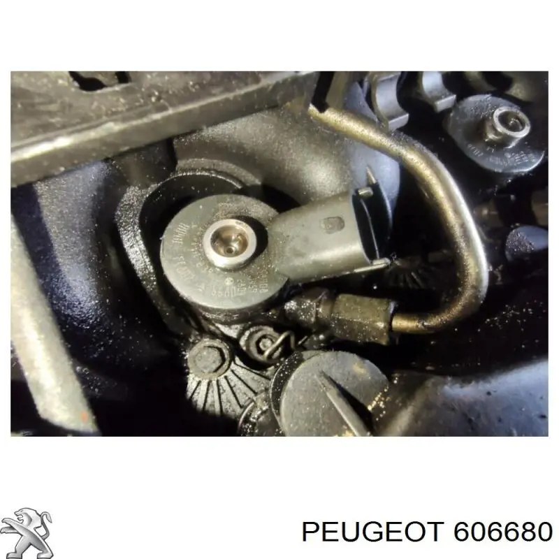 606680 Peugeot/Citroen inyector de combustible