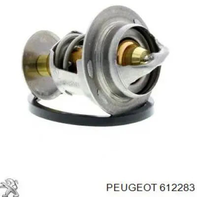612283 Peugeot/Citroen cable velocímetro
