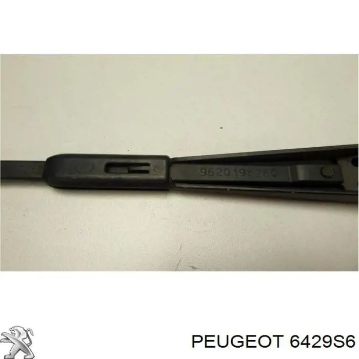 Brazo de limpiaparabrisas Citroen C5 I hatchback (DC) (2001 - 2004) precio, desde 46,46 EUR