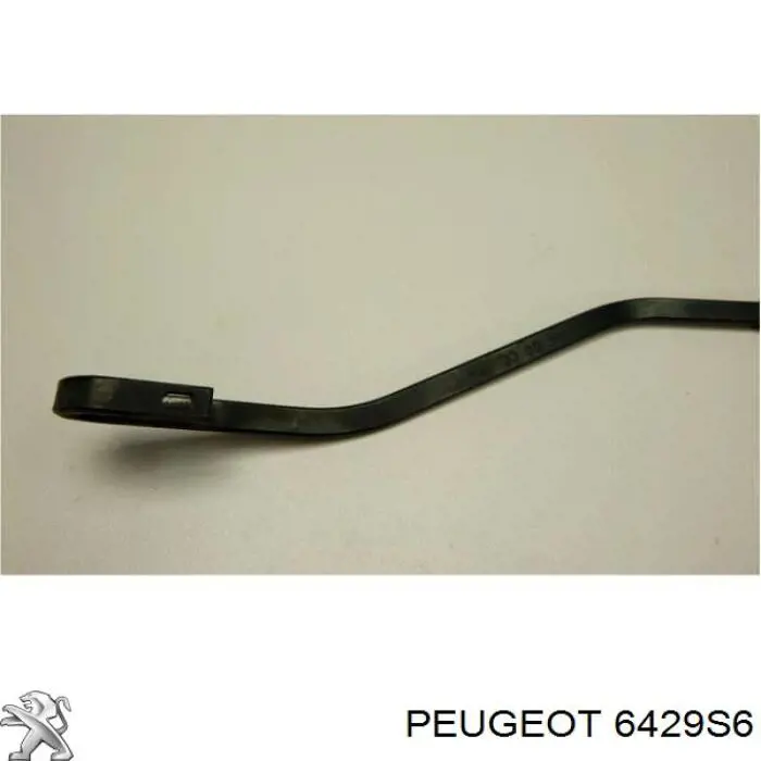 Comprar Brazo del limpiaparabrisas Citroen C5 I DC