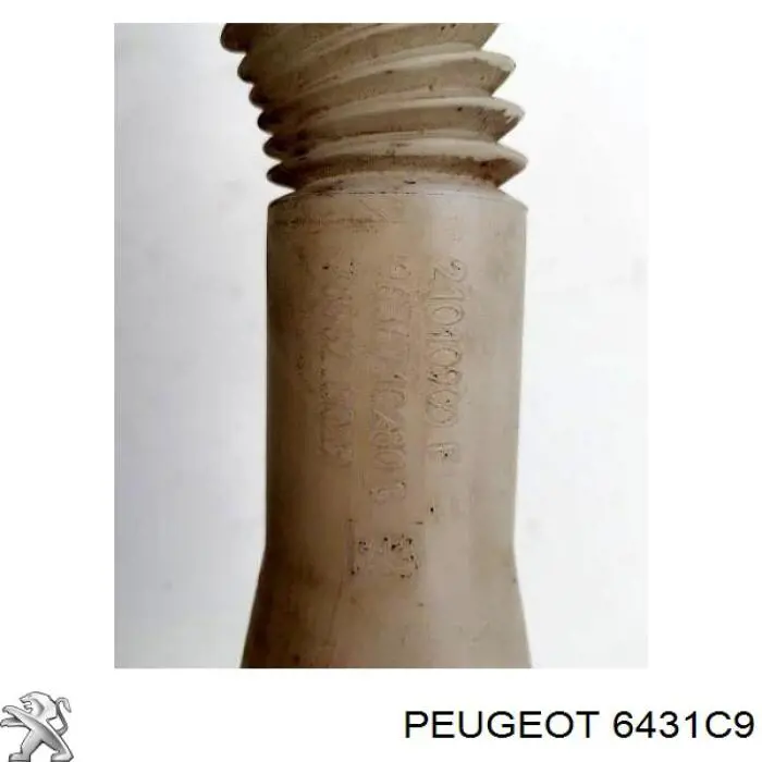 6431C9 Peugeot/Citroen depósito de agua del limpiaparabrisas