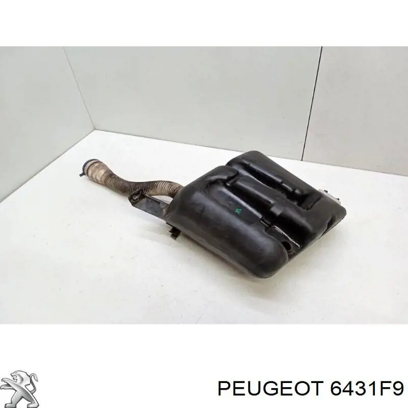 Deposito del lavaparabrisas Peugeot/Citroen 6431F9 precio, desde 102,17 EUR