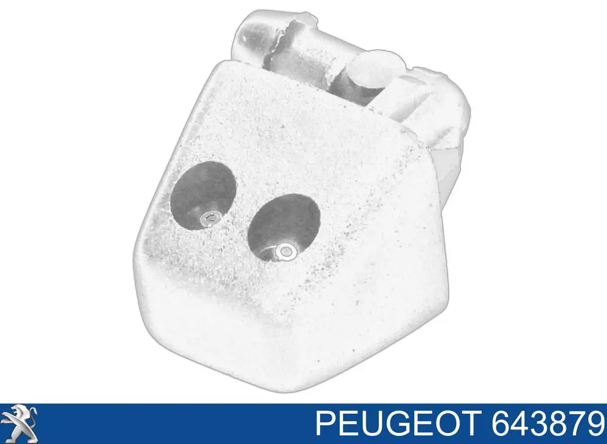 643879 Peugeot/Citroen tobera de agua regadora, lavado de parabrisas