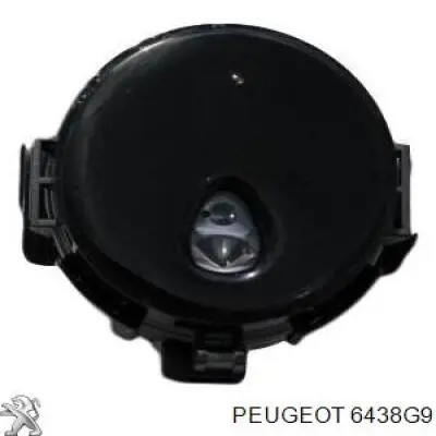 Comprar 6438G9 Peugeot/Citroen Boquilla del lavaparabrisas