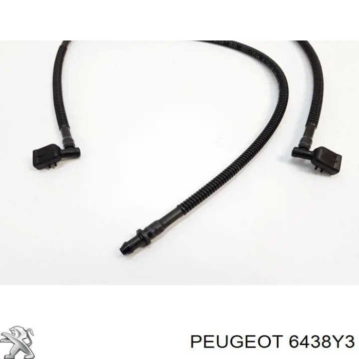 Boquilla del lavaparabrisas Peugeot/Citroen 6438Y3