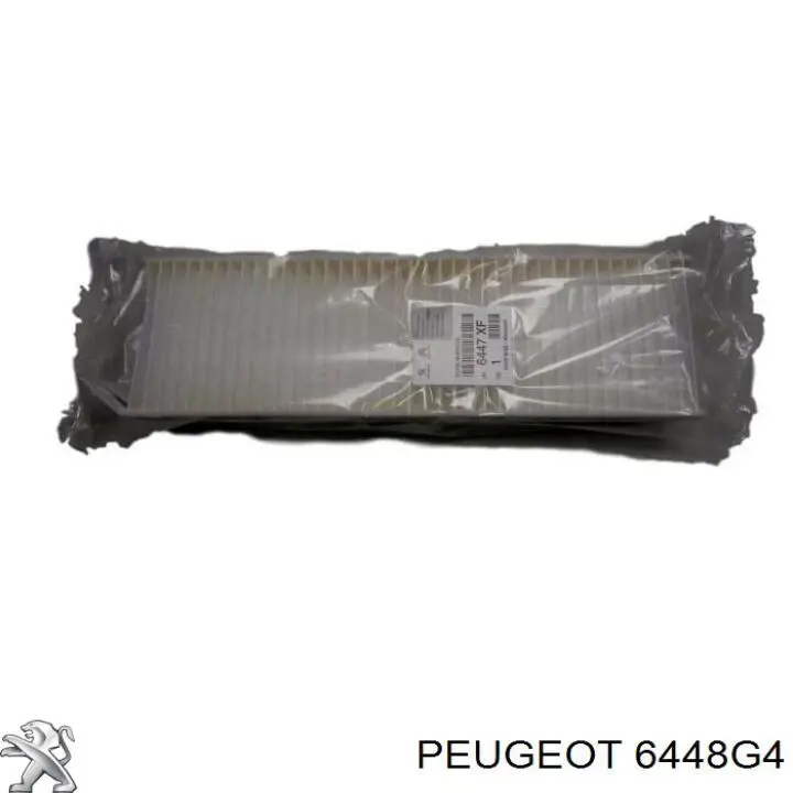 Manguera doble del radiador de la calefacción Peugeot/Citroen 6448G4