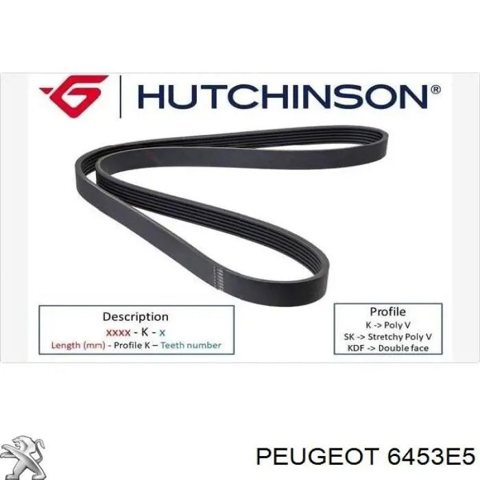 6453E5 Peugeot/Citroen Correa poly v