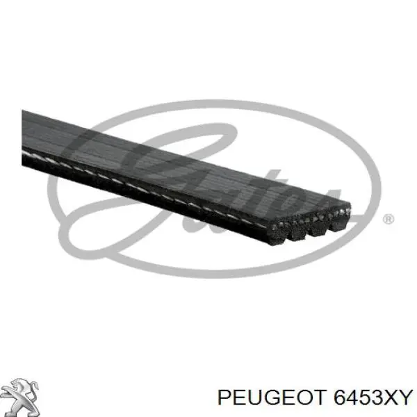 Correa de transmisión trapezoidal Peugeot/Citroen 6453XY precio, desde 9,35 EUR