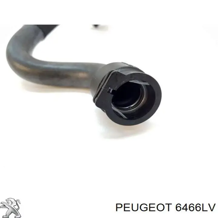 6466LV Peugeot/Citroen 
