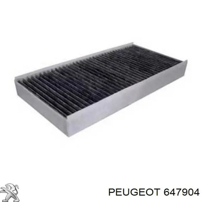 647904 Peugeot/Citroen Filtro antipolen