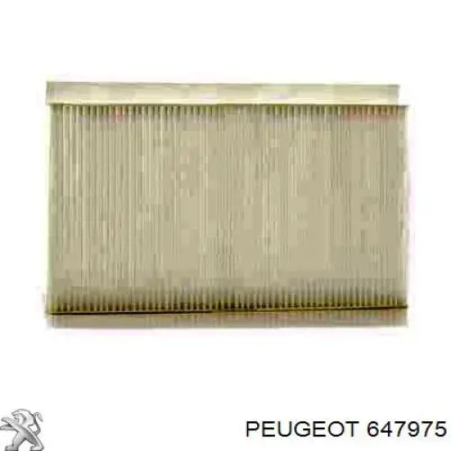 647975 Peugeot/Citroen Filtro antipolen