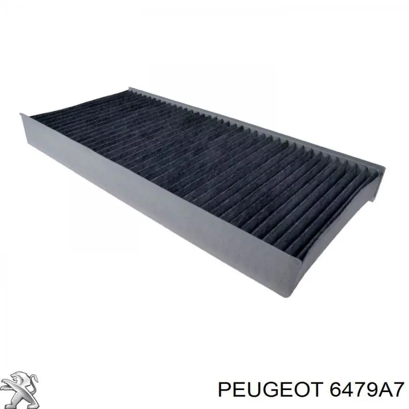 Filtro de polen Peugeot/Citroen 6479A7