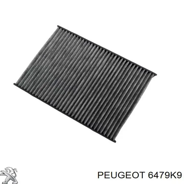 6479K9 Peugeot/Citroen Filtro antipolen