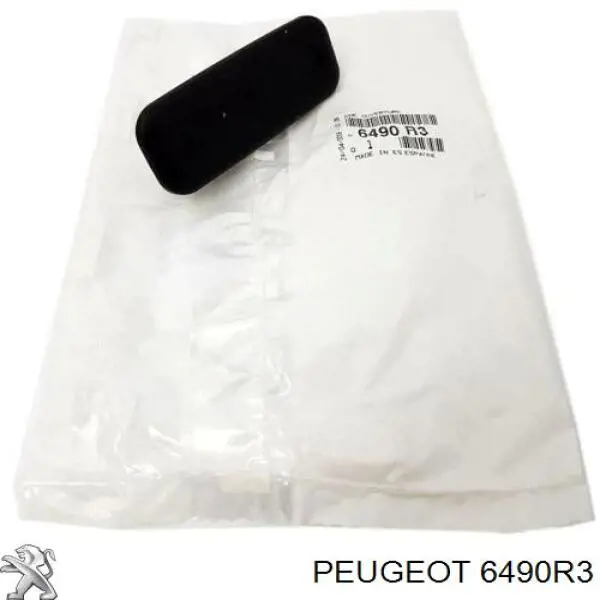 Tirador de puerta de maletero exterior 6490R3 Peugeot/Citroen