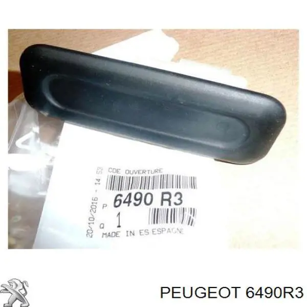 Manecilla de puerta de maletero exterior Peugeot/Citroen 6490R3