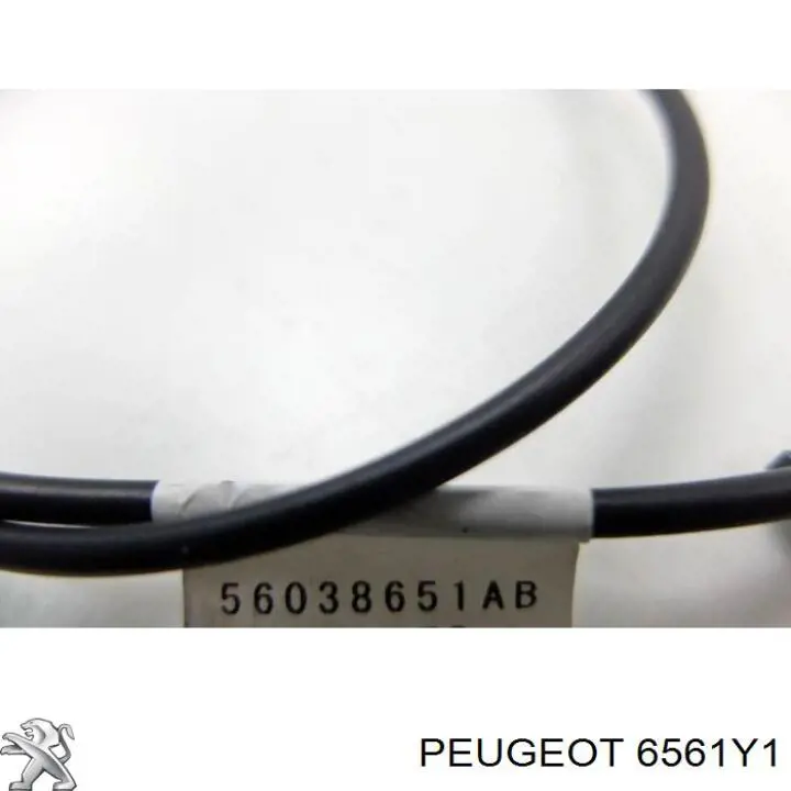  Antena Peugeot 307 