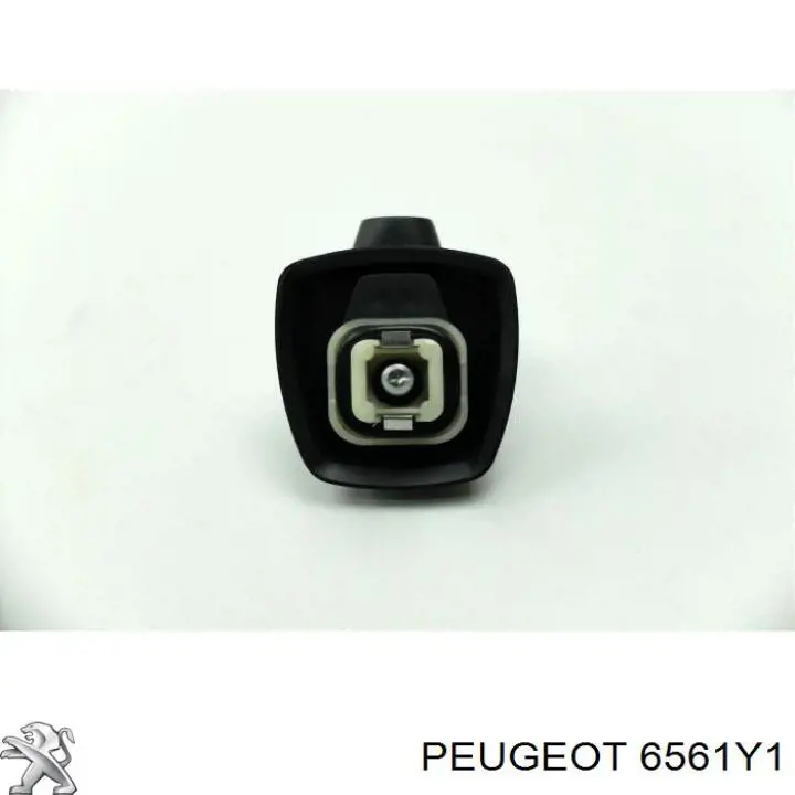 Antenas Peugeot 307 SW