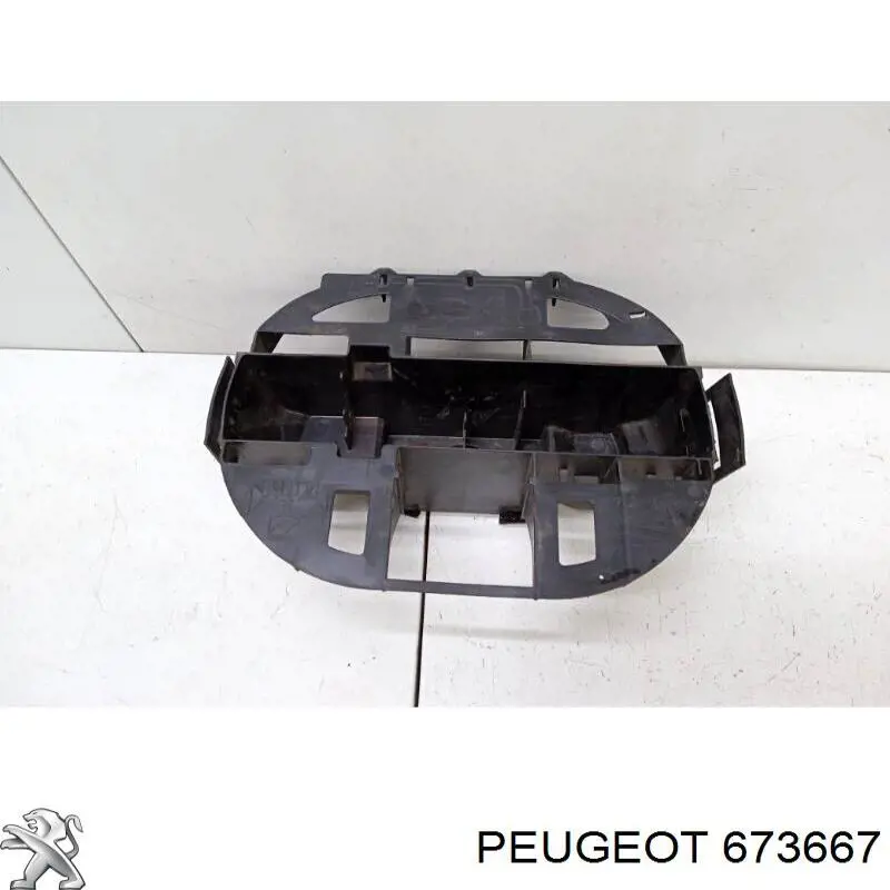 673667 Peugeot/Citroen 