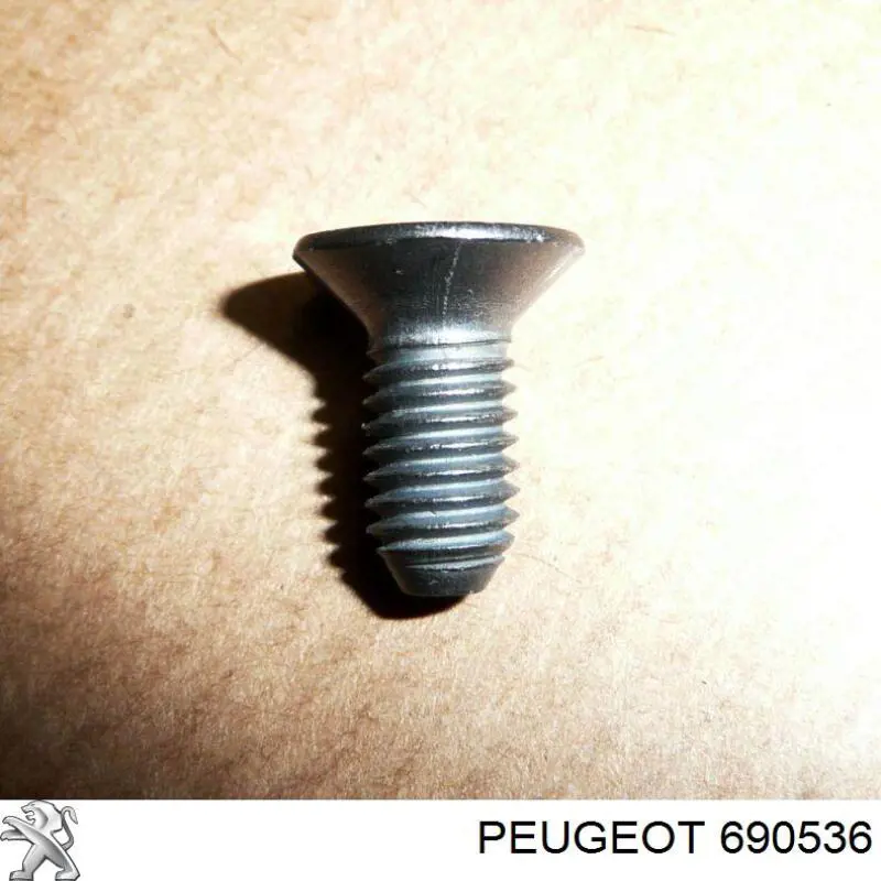Tornillo de disco de freno VAG N10456001 precio, desde 3,07 EUR