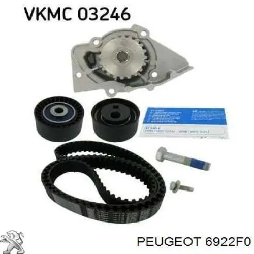 Comprar 6922F0 Peugeot/Citroen 