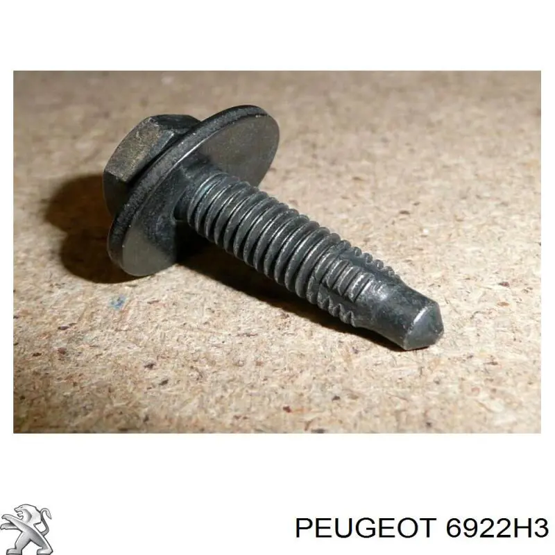 6922H3 Peugeot/Citroen perno de protección del motor