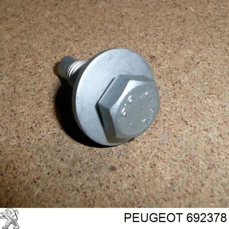 692378 Peugeot/Citroen tornillo