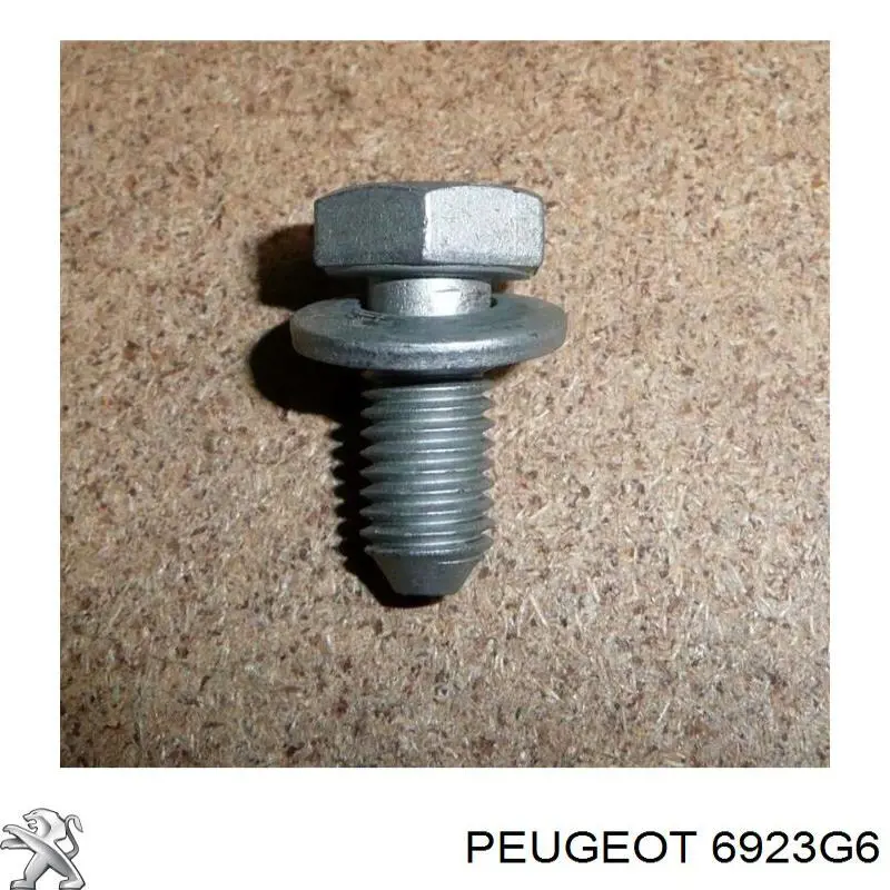 6923G6 Peugeot/Citroen tornillo