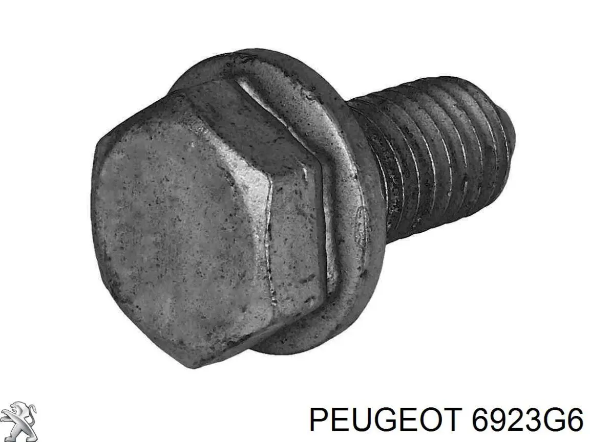 Tornillo Peugeot/Citroen 6923G6 precio, desde 2,52 EUR