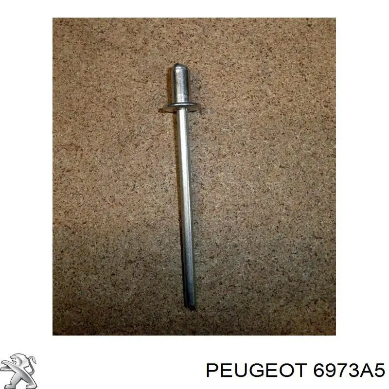  Peugeot/Citroen 6973A5 precio, desde 0,56 EUR