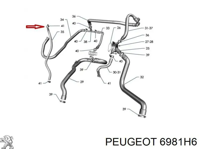 6981H6 Peugeot/Citroen