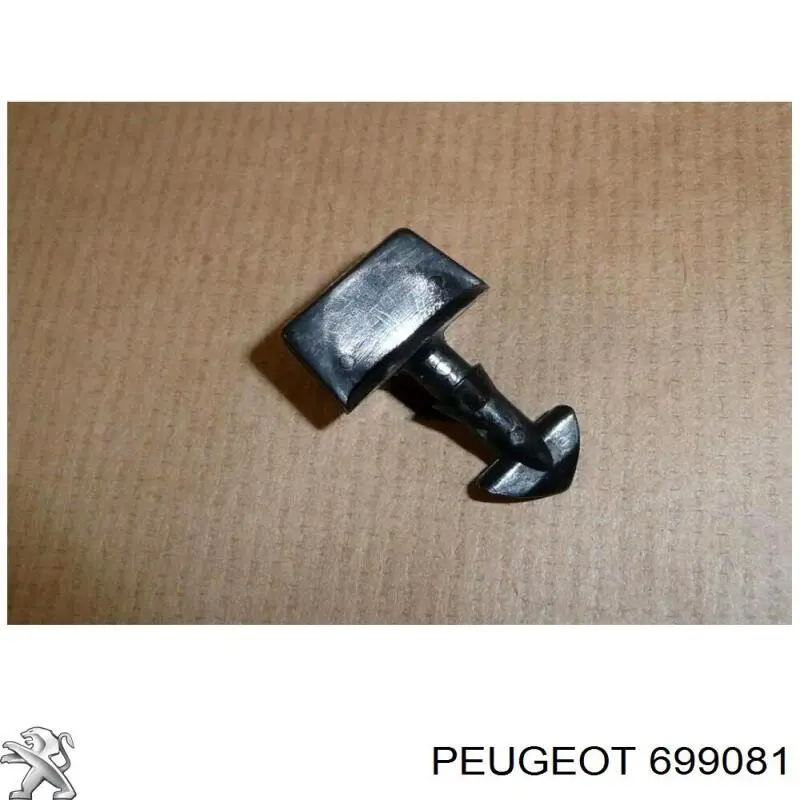 699081 Peugeot/Citroen 