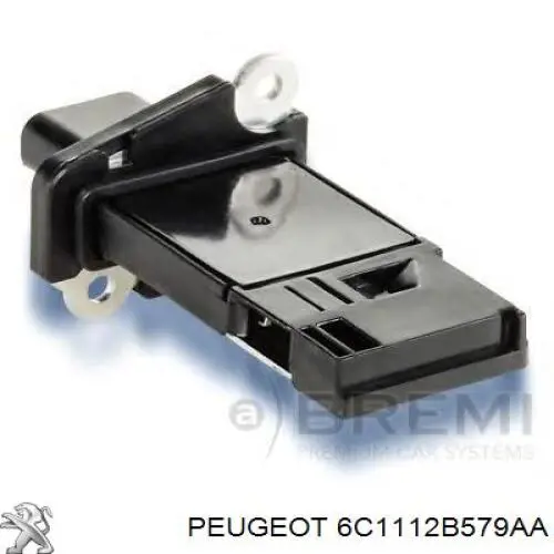 Caudalímetro 6C1112B579AA Peugeot/Citroen