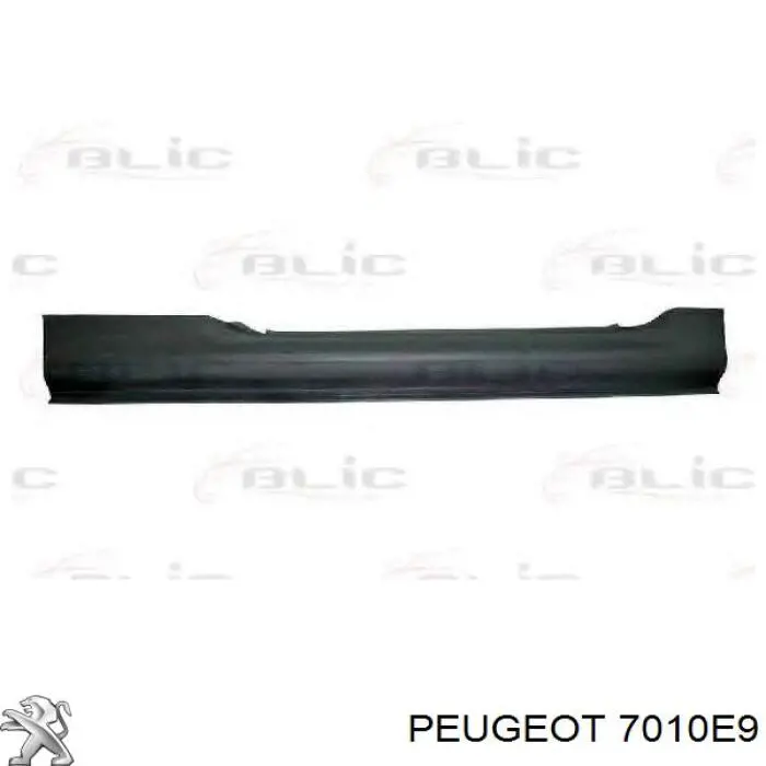 Umbral exterior derecho Peugeot/Citroen 7010E9 precio, desde 89,15 EUR