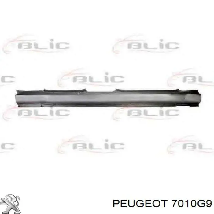 Umbral exterior derecho Peugeot/Citroen 7010G9 precio, desde 43,14 EUR