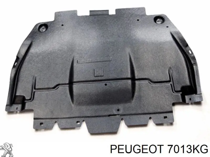 Protección de cárter Polcar 5748348 precio, desde 45,57 EUR