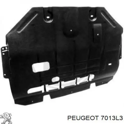 Protección de cárter Peugeot/Citroen 7013L3 precio, desde 89,23 EUR
