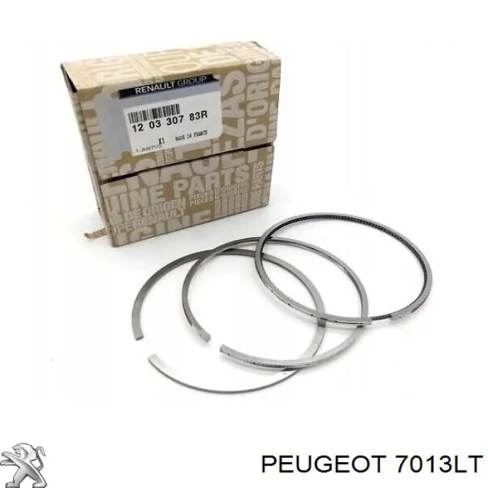 Protección de cárter Citroen Nemo furgoneta (2009 - 2026) precio, desde  